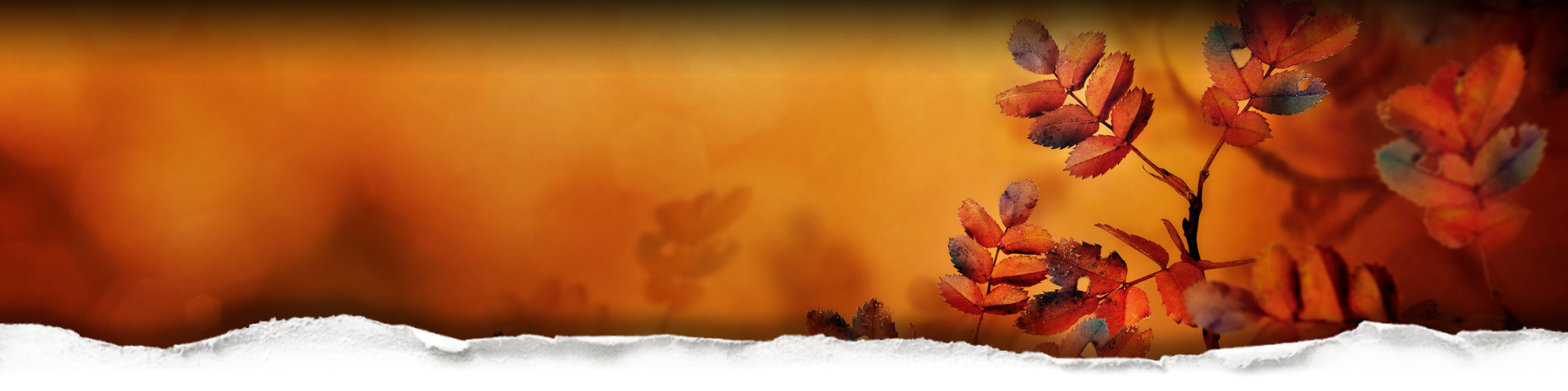 Autumn Collection