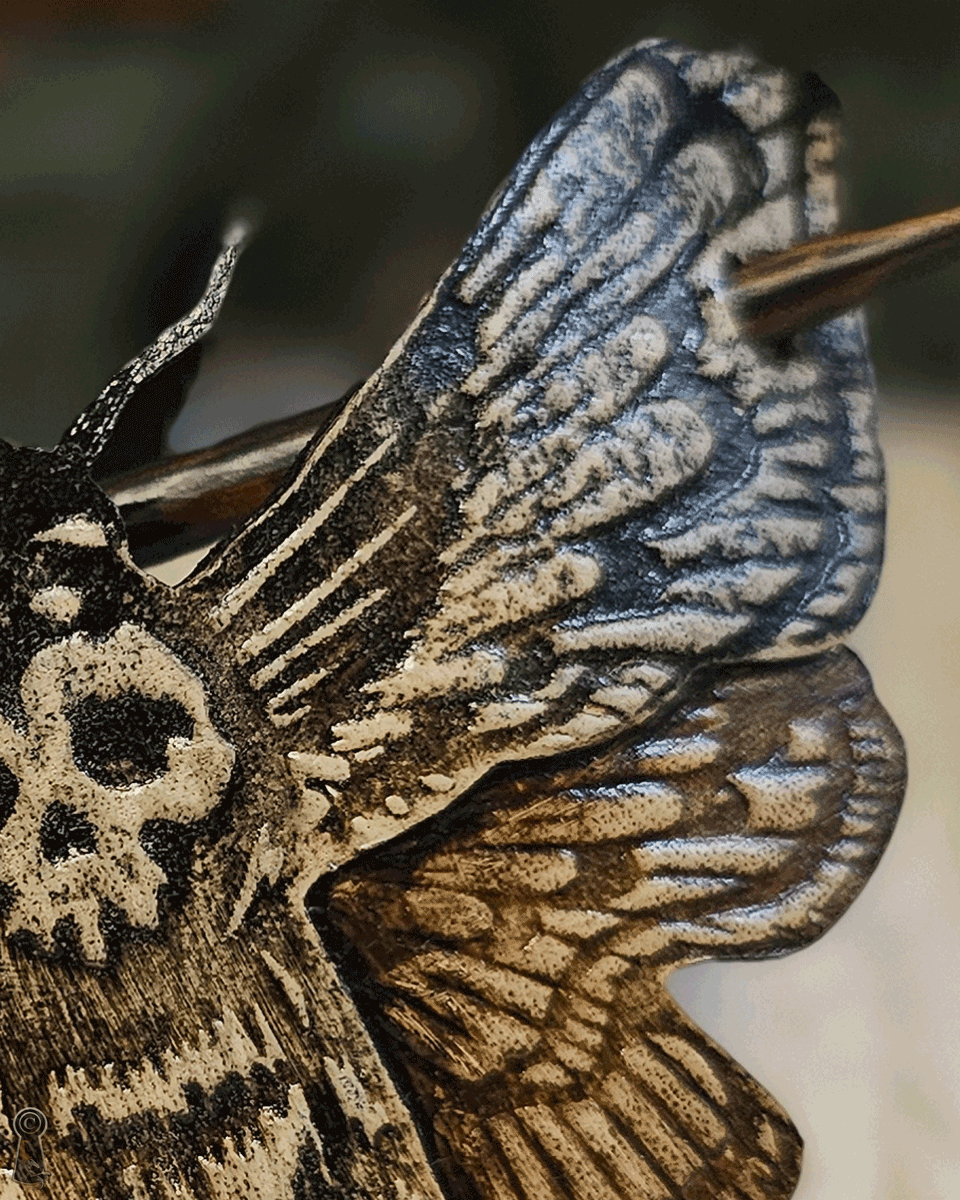 Close-up of a moth with embossed detailed wing patterns