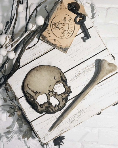 Leather skull and a wood, resin bone on a white wooden surface with a decorative key, white berries and a dark branch on a wooden surface with a vintage label.