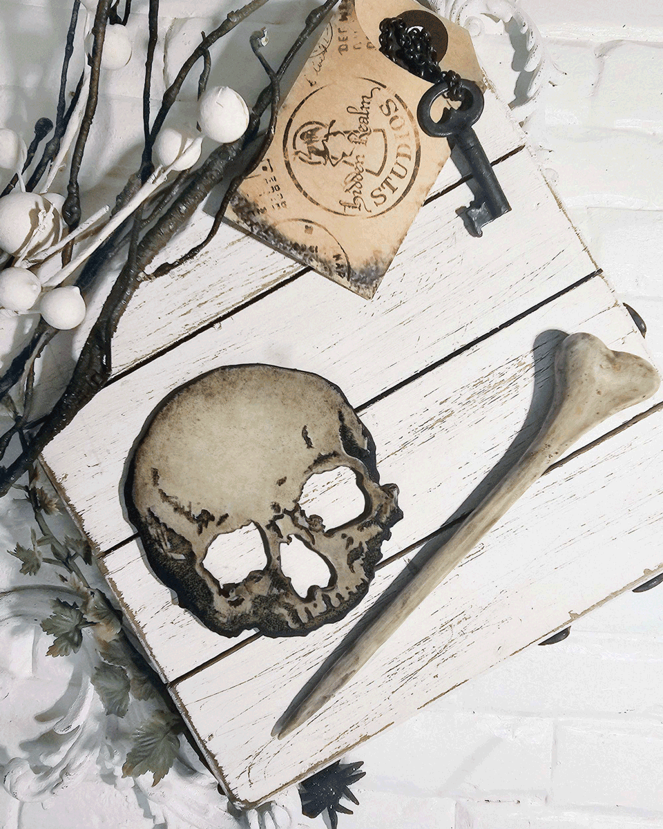 Leather skull and a wood, resin bone on a white wooden surface with a decorative key, white berries and a dark branch on a wooden surface with a vintage label.