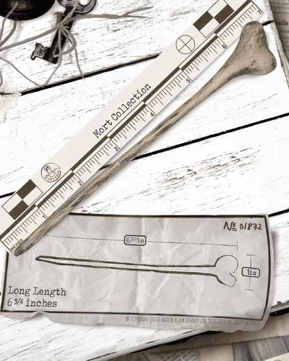 Bone shaped hair stick with an archeology ruler on a white wooden surface. 