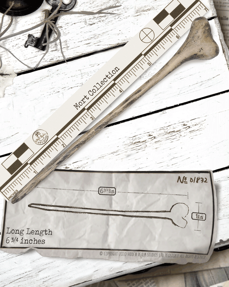 Bone shaped hair stick with an archeology ruler on a white wooden surface. 